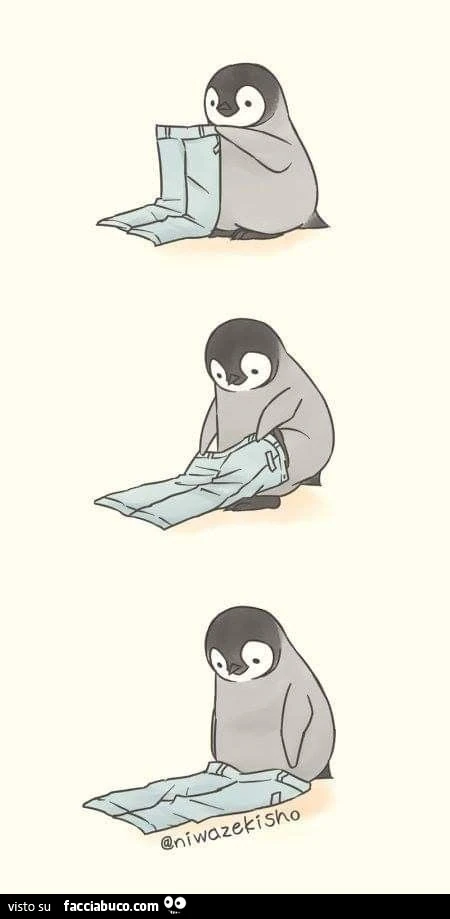 Pinguino coi pantaloni