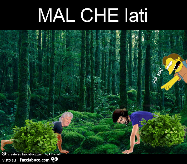 Mal che lati