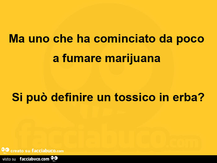 Ma uno che ha cominciato da poco a fumare marijuana  si può definire un tossico in erba?