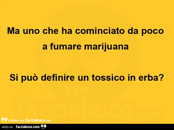 Ma uno che ha cominciato da poco a fumare marijuanaย si puรฒ definire un tossico in erba?