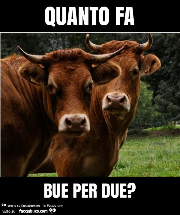 Quanto fa bue per due?