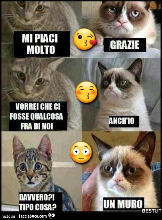 Gatti