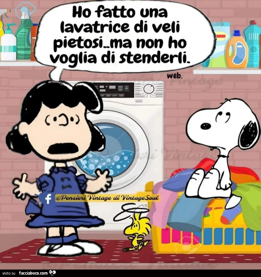 Bucato