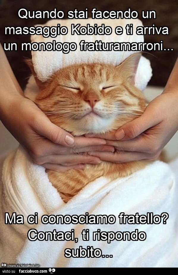 Quando stai facendo un massaggio kobido e ti arriva un monologo fratturamarroni… ma ci conosciamo fratello? Contaci, ti rispondo subito