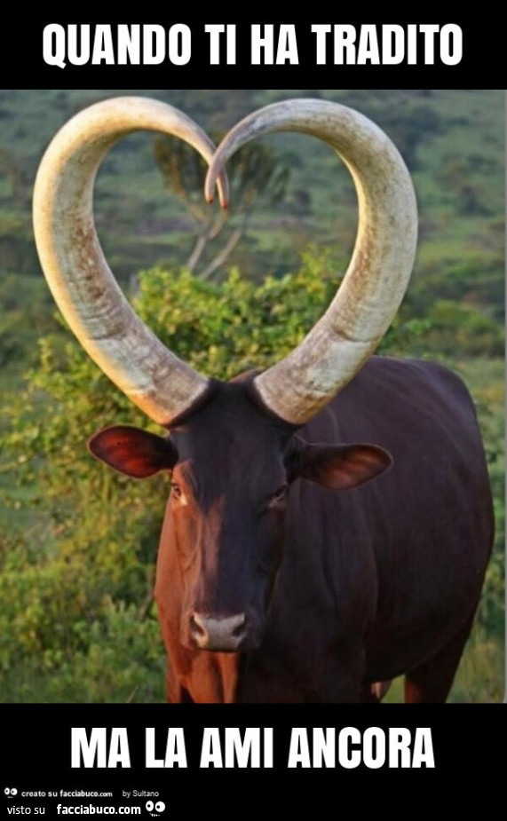 Quando ti ha tradito ma la ami ancora
