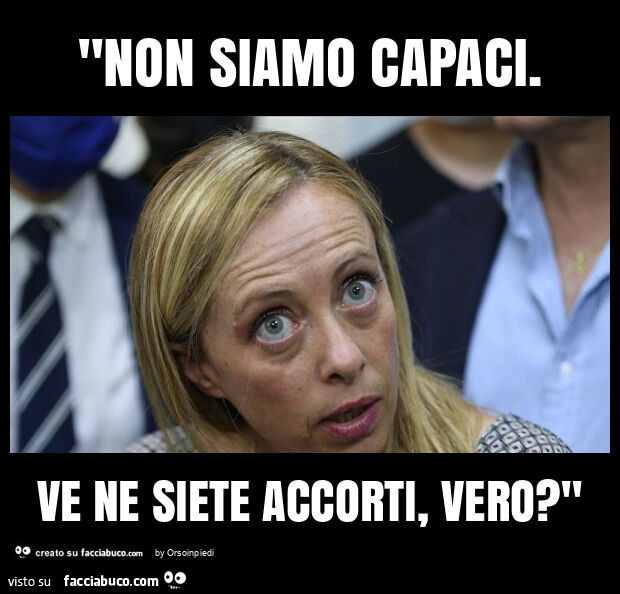 "non siamo capaci. Ve ne siete accorti, vero? "