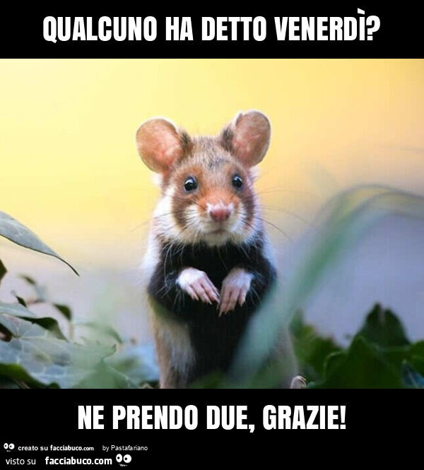 Qualcuno ha detto venerdì? Ne prendo due, grazie