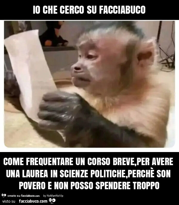 Io che cerco su facciabuco come frequentare un corso breve, per avere una laurea in scienze politiche, perchè son povero e non posso spendere troppo