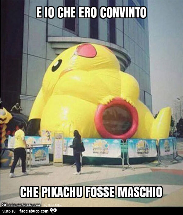 E io che ero convinto che pikachu fosse maschio