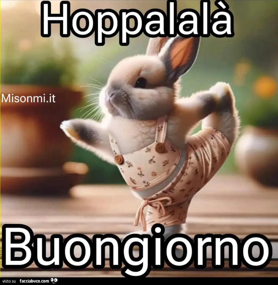 Agilità