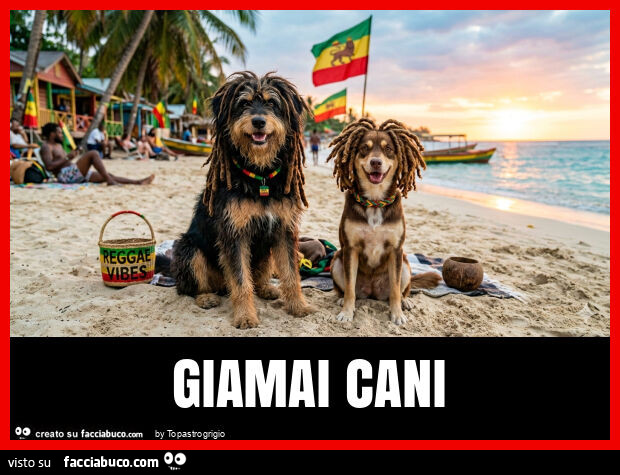 Giamai cani