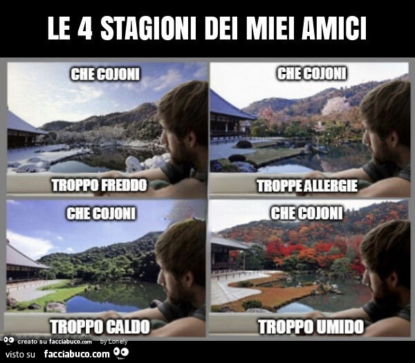 Le 4 stagioni dei miei amici