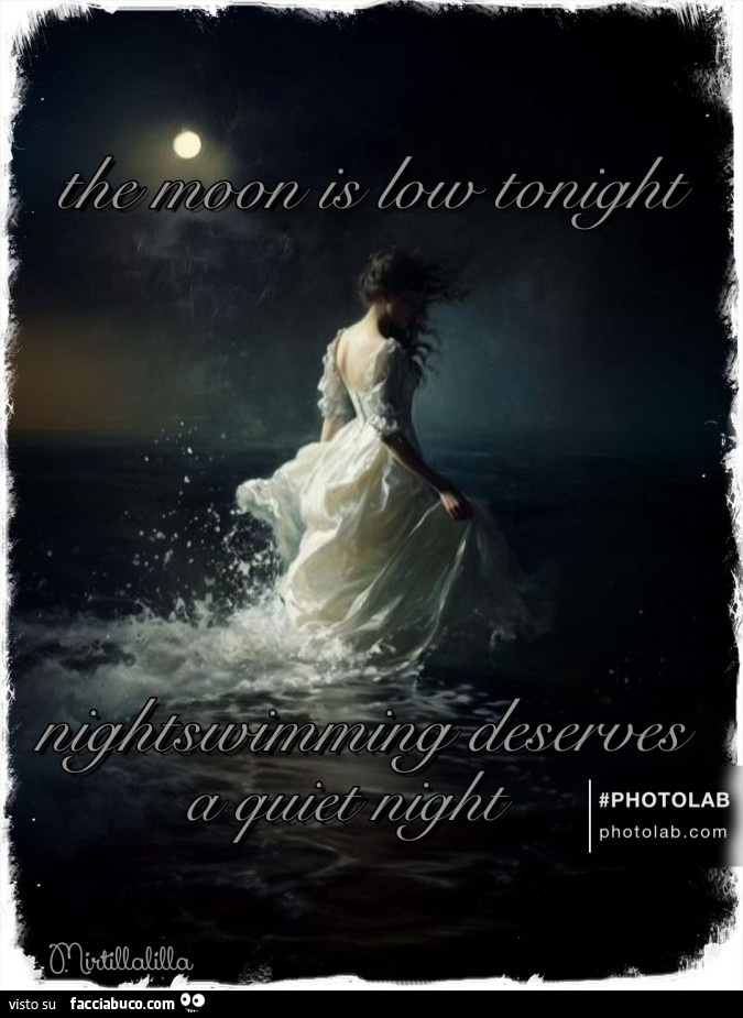 A quiet night Lalady