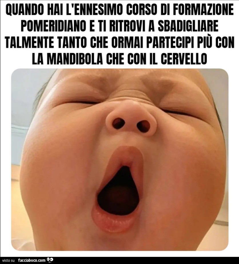 Quando hai l'ennesimo corso di formazione pomeridiano e ti ritrovi a Sbadigliare talmente tanto che ormai partecipi più con la mandibola che con il cervello