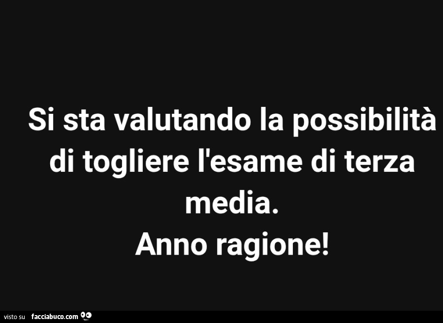 Si sta valutando la possibilità di togliere l'esame di terza media. Anno ragione