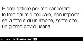 Vaccata