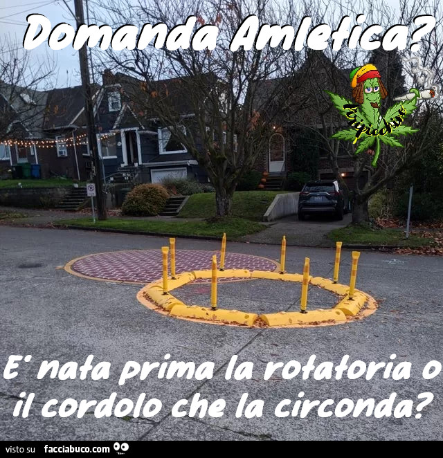 Vaccata