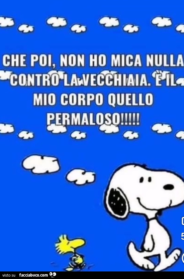 Che poi, non ho mica nulla contro la vecchiaia. È Il mio corpo quello permaloso