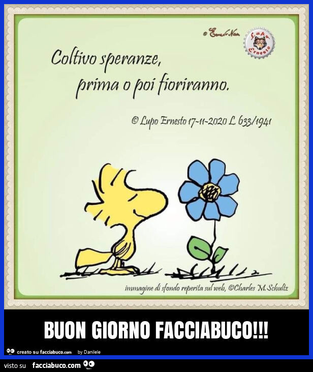 Buon giorno facciabuco