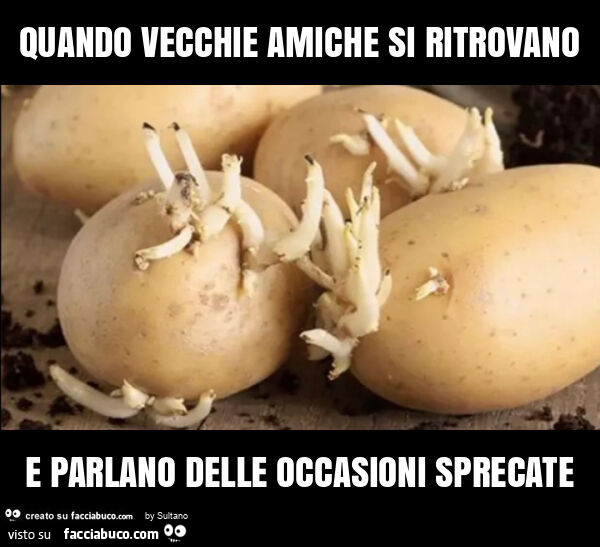 Quando vecchie amiche si ritrovano e parlano delle occasioni sprecate