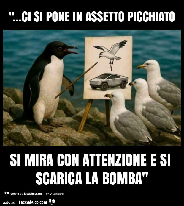 "… ci si pone in assetto picchiato si mira con attenzione e si scarica la bomba"