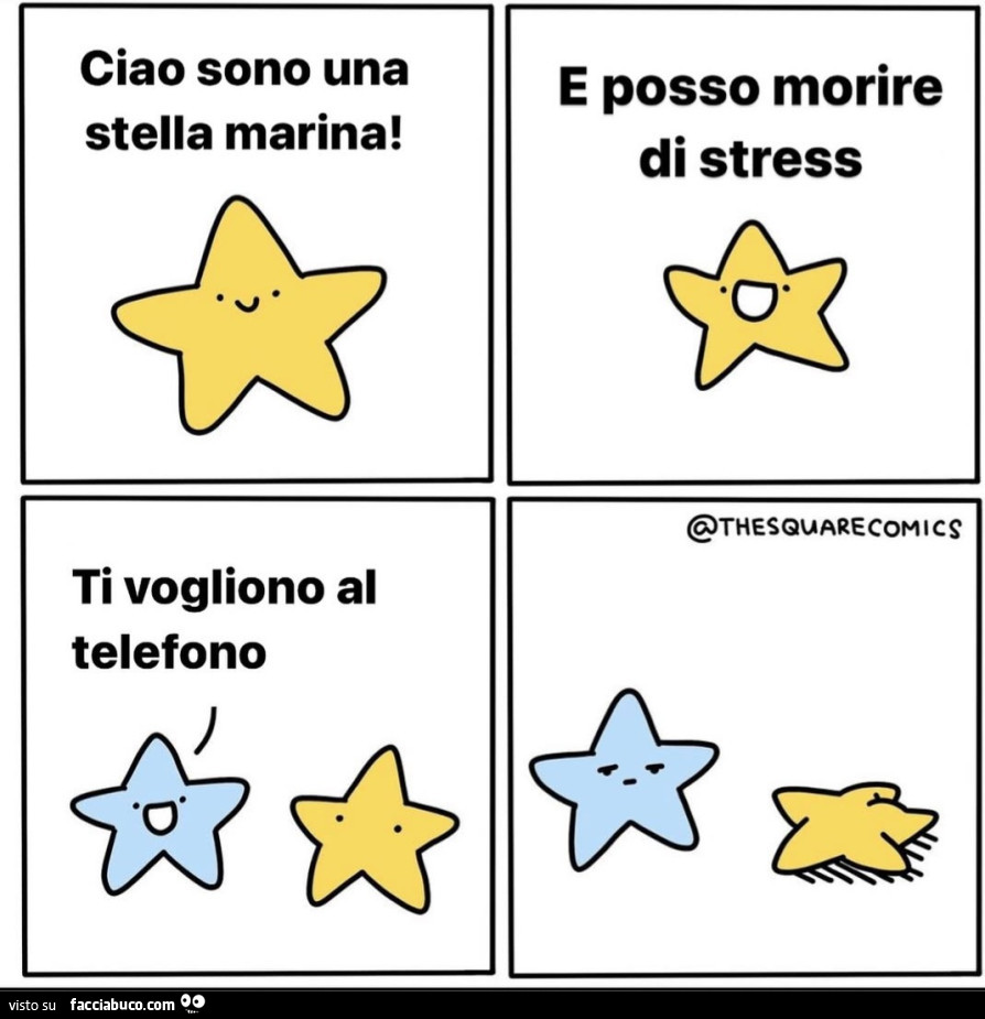 Ciao sono una stella marina! E posso morire di stress. Ti vogliono al telefono