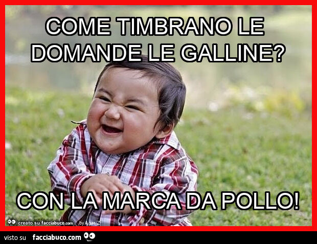 Come timbrano le domande le galline? Con la marca da pollo