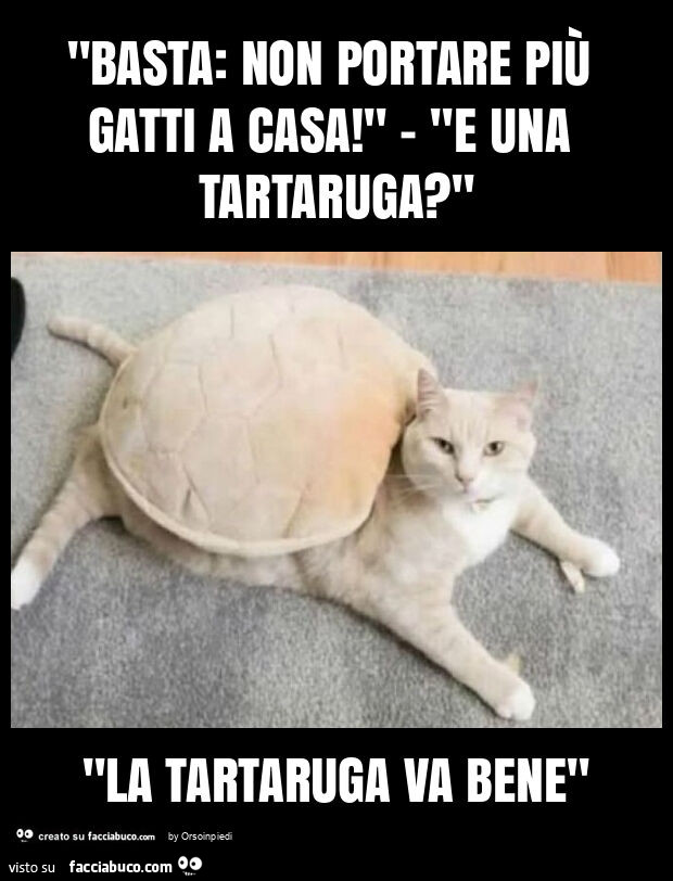 "basta: non portare più gatti a casa! " - "E una tartaruga? " "La tartaruga va bene"