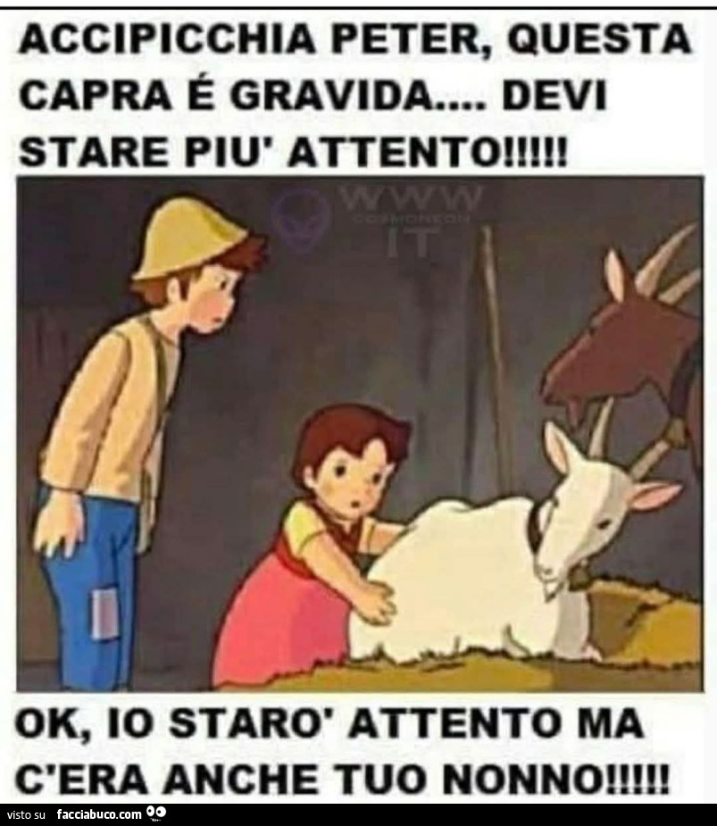 Heidi