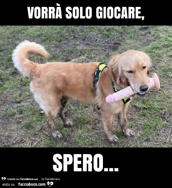 Vorrà solo giocare, spero