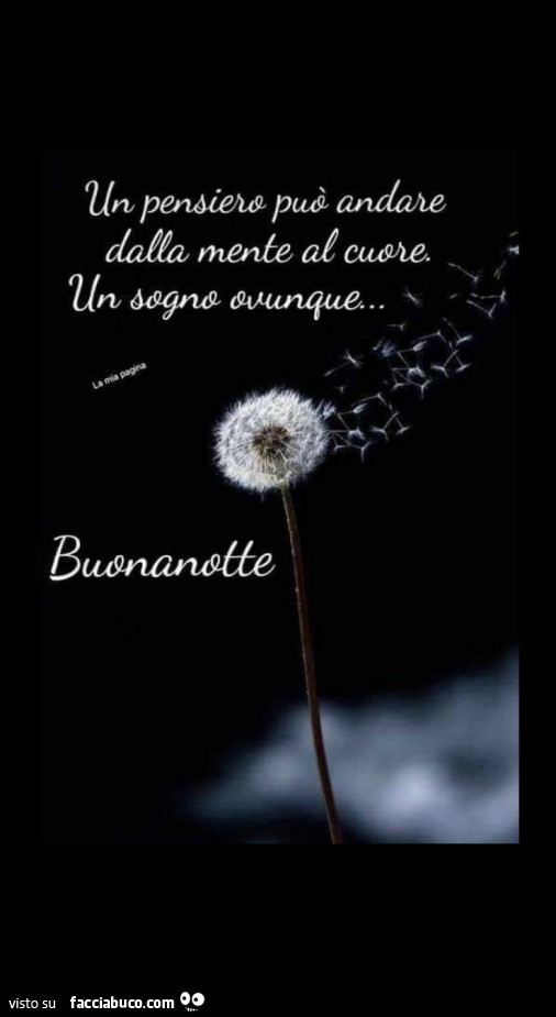 Un pensiero può andare dalla mente al cuore. Un sogno ovunque. Buonanotte