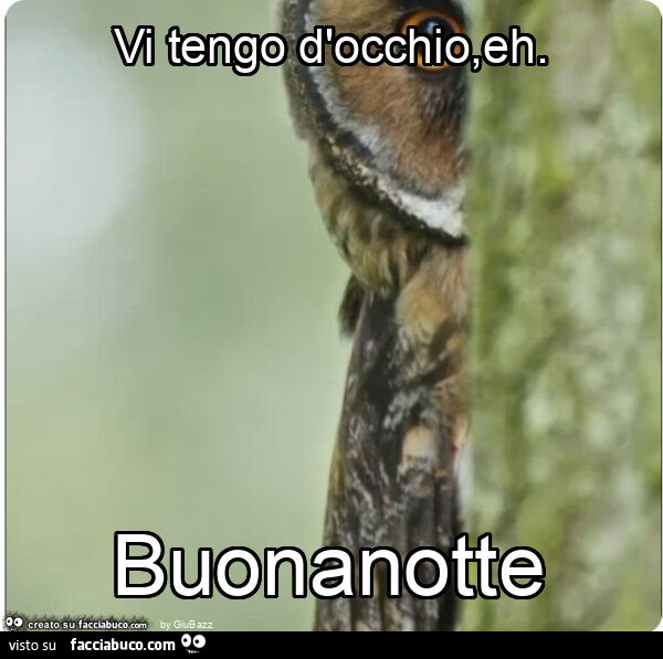 Vi tengo d'occhio, eh. Buonanotte