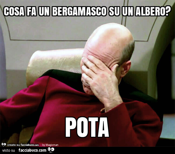 Cosa fa un bergamasco su un albero? Pota