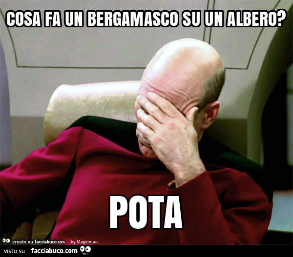 Cosa fa un bergamasco su un albero? Pota
