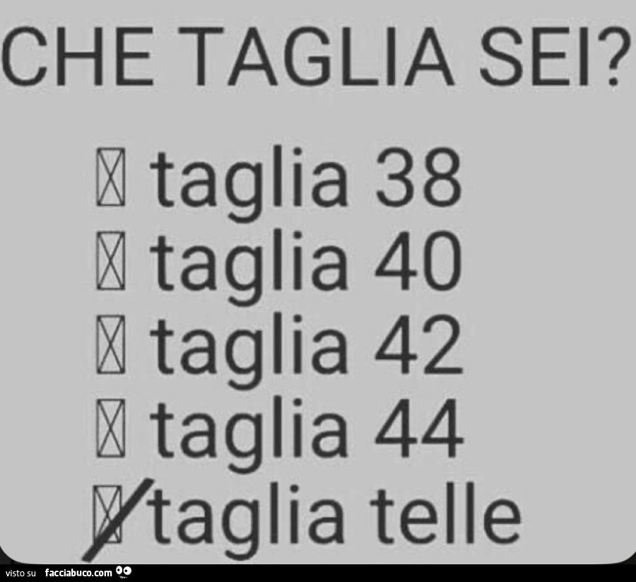 Vaccata