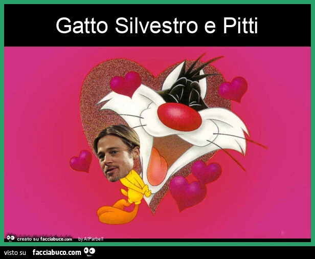 Gatto silvestro e pitti