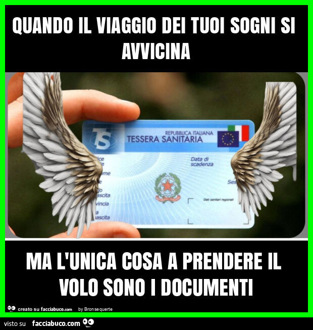 Quando il viaggio dei tuoi sogni si avvicina ma l'unica cosa a prendere il volo sono i documenti