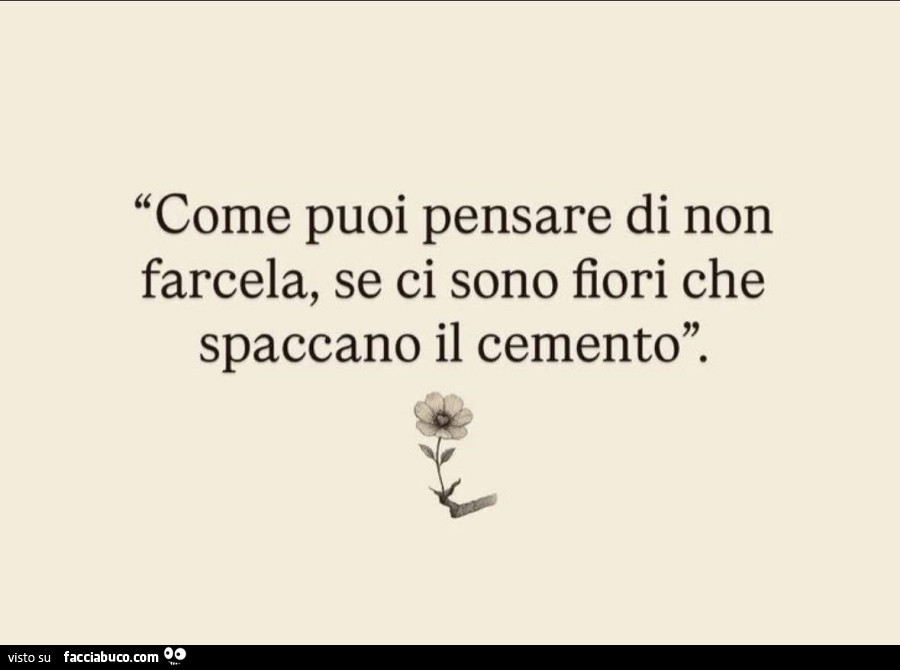 Come puoi pensare di non farcela, se ci sono fiori che spaccano il cemento