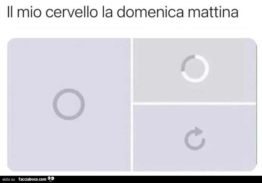 Il mio cervello la domenica mattina