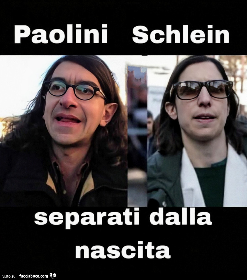 Schlein