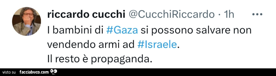 I bambini di gaza si possono salvare non vendendo armi ad lsraele. Il resto è propaganda