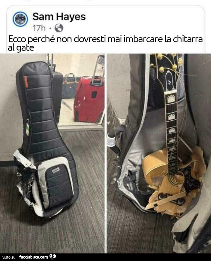 Vaccata