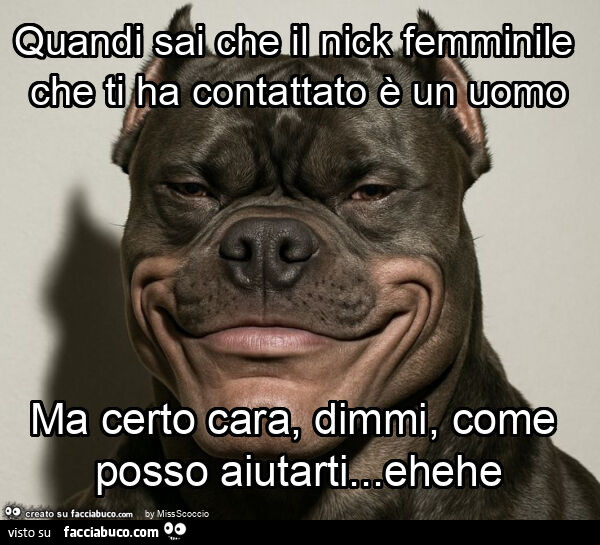 Quandi sai che il nick femminile che ti ha contattato è un uomo ma certo cara, dimmi, come posso aiutarti&hellip; ehehe