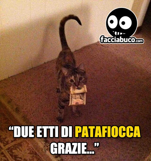 Vaccata