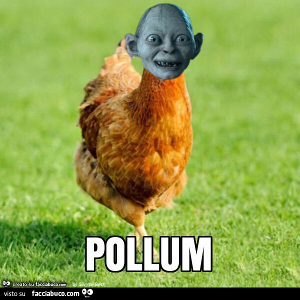 Pollum
