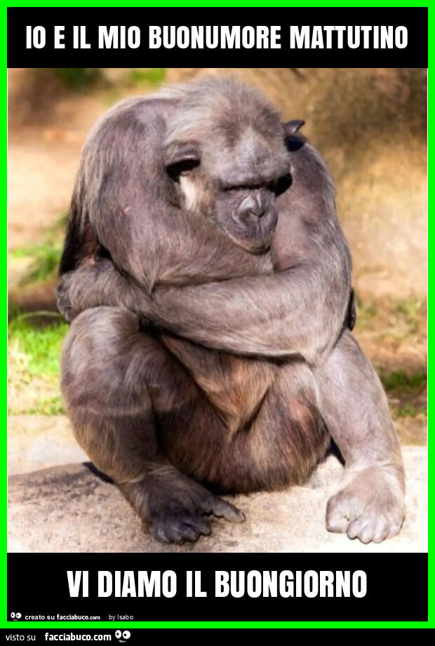 Io e il mio buonumore mattutino vi diamo il buongiorno