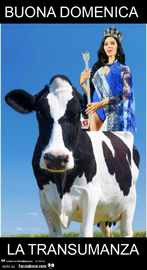 Buona domenica la transumanza