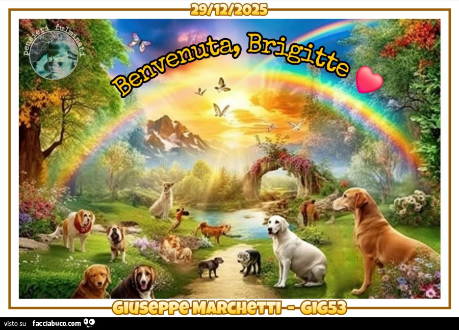 Animali brigitte bardot