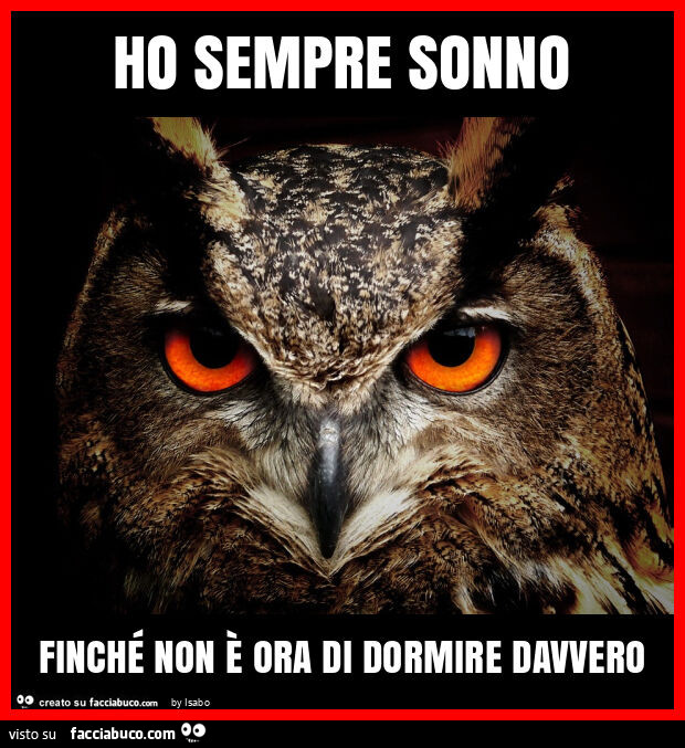 Ho sempre sonno finché non è ora di dormire davvero