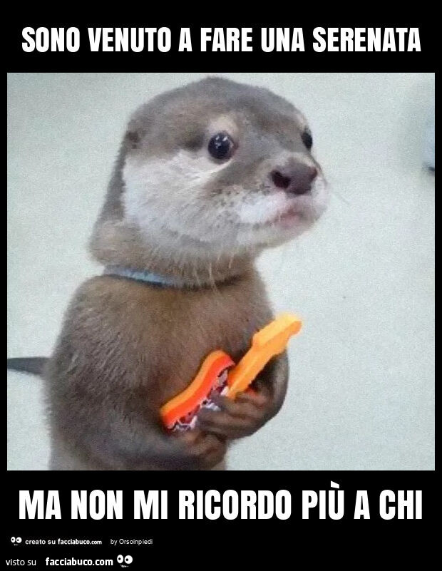 Sono venuto a fare una serenata ma non mi ricordo più a chi